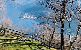 Il Riccio Appartamento