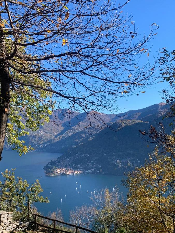 Il Riccio Appartamento Cernobbio Extérieur photo