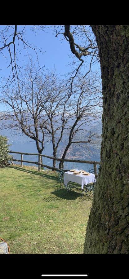 Il Riccio Appartamento Cernobbio Extérieur photo