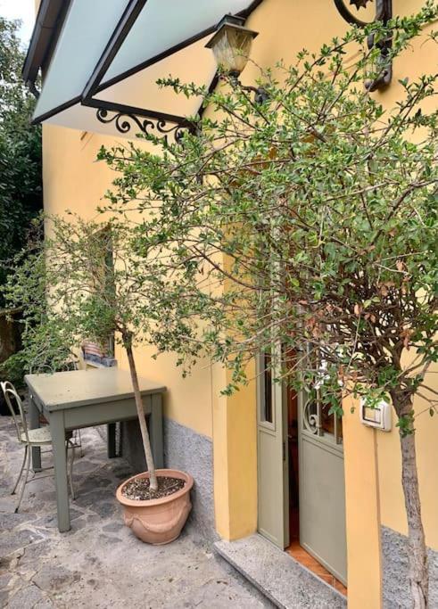 Il Riccio Appartamento Cernobbio Extérieur photo